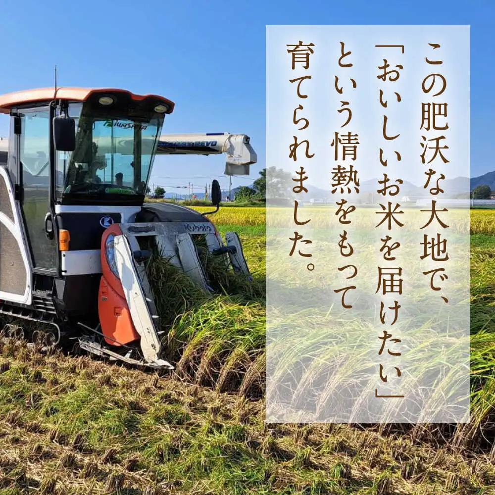  ヒノヒカリ 無洗米 6kg（1kg×6袋） 【株式会社 岩下農園】[ZFS007]