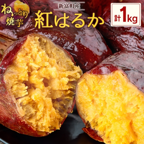 特製焼き芋！熟成蜜芋「紅はるか」計1kg 国産 新富町産 さつまいも ねっとり焼芋 イモ【A309】