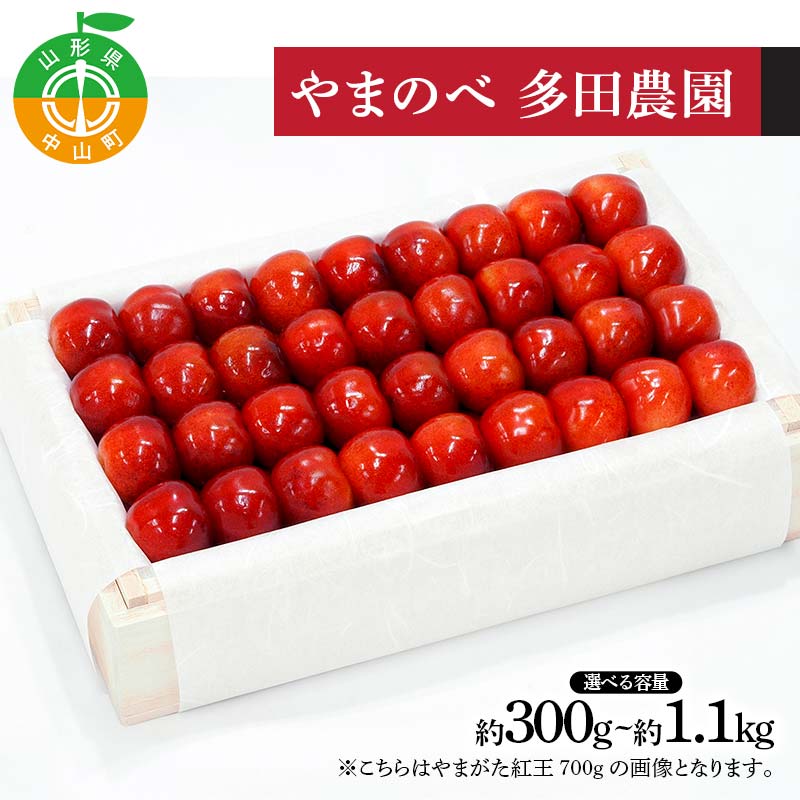 【ふるさと納税】＼選べる容量／ 《先行予約》2026年 山形県産 やまがた紅王 特選桐箱詰 約300g 500g 700g 1100g やまのべ多田耕太郎のさくらんぼ F4A-0999var