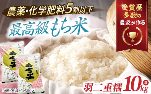【特別栽培米】 もち米 羽二重糯（はぶたえもち）5kg×2 滋賀県長浜市/株式会社ＴＰＦ [AQCQ011] お米 もち 米 モチ 10キロ 国産 餅 こめ コメ 滋賀県産 滋賀 産直 産地直送 農家直送 おこわ 団子 餅米 白もち米 精米もち米 餅つき