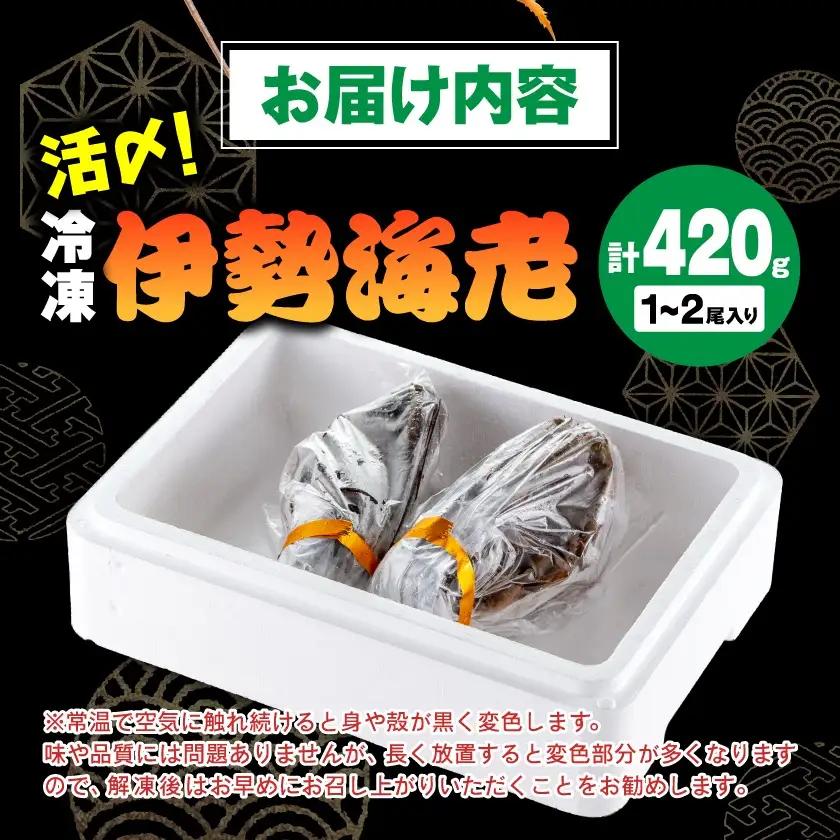 刺身用活〆冷凍伊勢海老420g【配送不可地域：離島】【1607614】