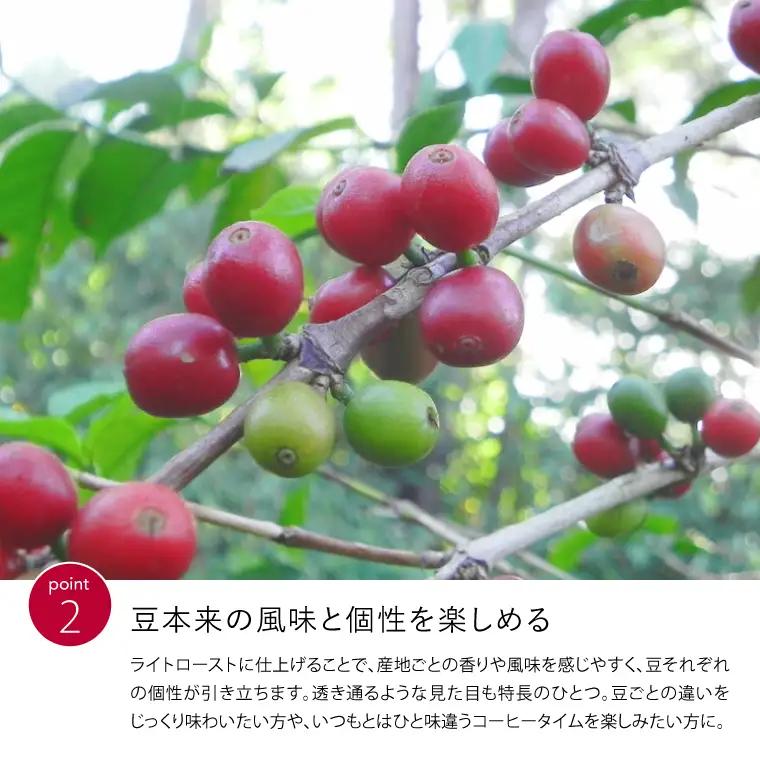 ライトローストコーヒー豆・粉 30g×3種