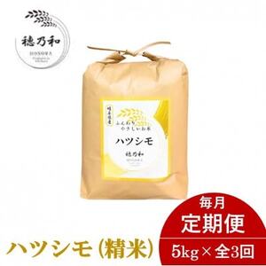 【発送月固定定期便】【先行予約】岐阜県産ハツシモ(精米)5kg全3回【配送不可地域：離島】【4067379】