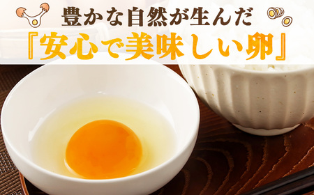 こだわり のざわ卵 16個 【田原本町×吉野町共通返礼品】 ／ 野澤養鶏 おいしい たまご 奈良県