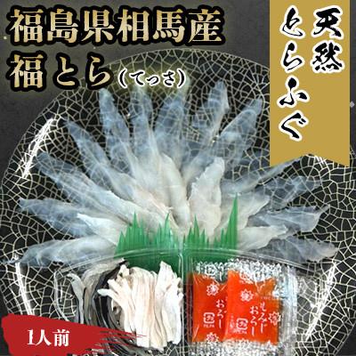 ふるさと納税 相馬市 【常磐もの新名物!福とら】天然とらふぐ てっさ 1人前 60g (刺身40g/皮20g)ふぐ刺し