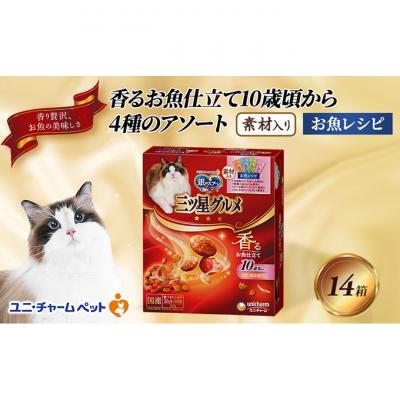 ふるさと納税 伊丹市 銀のスプーン三ツ星グルメ 香るお魚仕立て10歳から4種のアソート素材入り 猫[54030331]