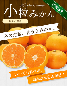 小粒みかん 約1.5kg【家庭用】 森本農園の手選別  和歌山県産 【BV-mrmt060】