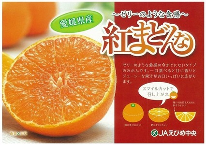 紅まどんな 約2.7kg 青秀 L ~ 3Lサイズ（ 10 ～15玉 ） ( 愛媛県産 みかん 柑橘 みかん フルーツ みかん 果物 みかん 愛果28号 みかん 新鮮 みかん 愛媛県 松山市 まどんな