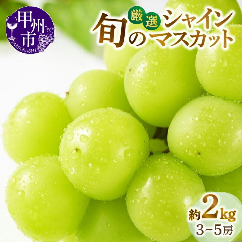 【ふるさと納税】 シャインマスカット 果物 約2kg 3～5房 山梨県 甲州市産 厳選 2025年発送 8月下旬より発送 期間限定 旬 フルーツ 葡萄 ぶどう 種なし 大粒 甘い 大きい 新鮮 果実 人気 山梨県産 甲州市 (MG) 【B18-450】