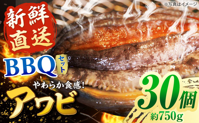 【日付指定必須】五島産養殖 アワビ・バーベキューセット 30個セット 約750g 五島市/（有）都工業 BBQ あわび 鮑 [PEX007]