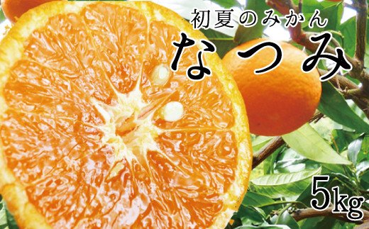 
初夏のみかん なつみ5kg サイズお任せ 【予約】※2025年4月中旬～4月下旬に順次発送予定(お届け日指定不可)/果物 くだもの フルーツ みかん
