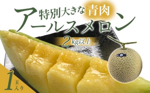 A-550 特別大きな青肉アールスメロン 1玉（2kg以上）