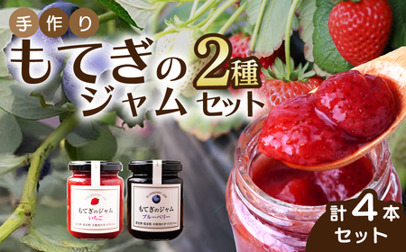 イチゴ＆ブルーベリージャム 160g×4本  | ｼﾞｬﾑ ｼﾞｬﾑ ｼﾞｬﾑ ｼﾞｬﾑ ｼﾞｬﾑ