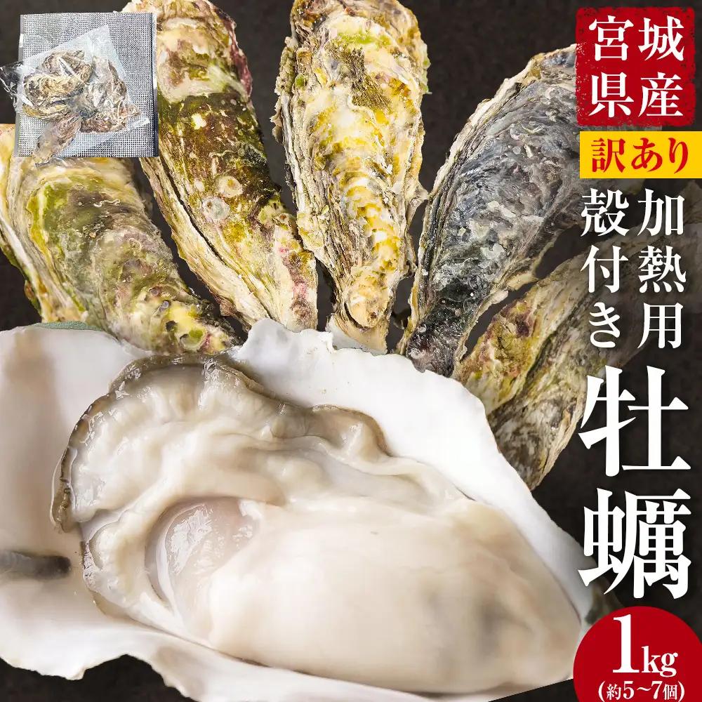 牡蠣 訳あり 宮城県産 無選別 1kg 加熱用 真牡蠣 かき カキ 貝 貝類 海産物 魚介類 海鮮 冷凍 宮城県 宮城 石巻市 石巻