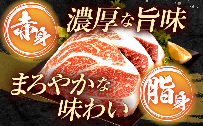 【6回定期便】長崎和牛 サーロインステーキ 600g（200g×3枚）/ 牛肉 ぎゅうにく 肉 和牛 国産牛 サーロイン ステーキ すてーき?/ 諫早市 / 西日本フード株式会社 [AHAV038]