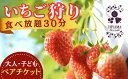 【ふるさと納税】いちご狩り 食べ放題30分 ペアチケット 大人1名、子供1名｜ 茨城県 常陸太田 香り 大粒 いちご いちご狩り高床式 腰 かがまない フルーツ イチゴ 新鮮 糖度 酸味 バランス 濃厚 味わい 品種 甘い サクサク やよいひめ 果肉 まろやかな 品質 健康 果物