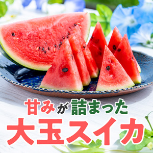 スイカ1玉(約7㎏級) N0195-YA0377