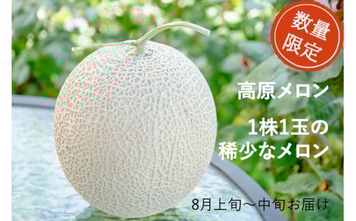 221 高原メロン 1株から1玉しかとれない稀少なメロン2玉入り【お盆前お届け】