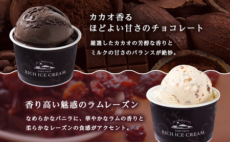 リッチアイスクリーム 8個セット（100ml）【 4種 × 各2個】アイス スイーツ おやつ 冷凍 食べ比べ