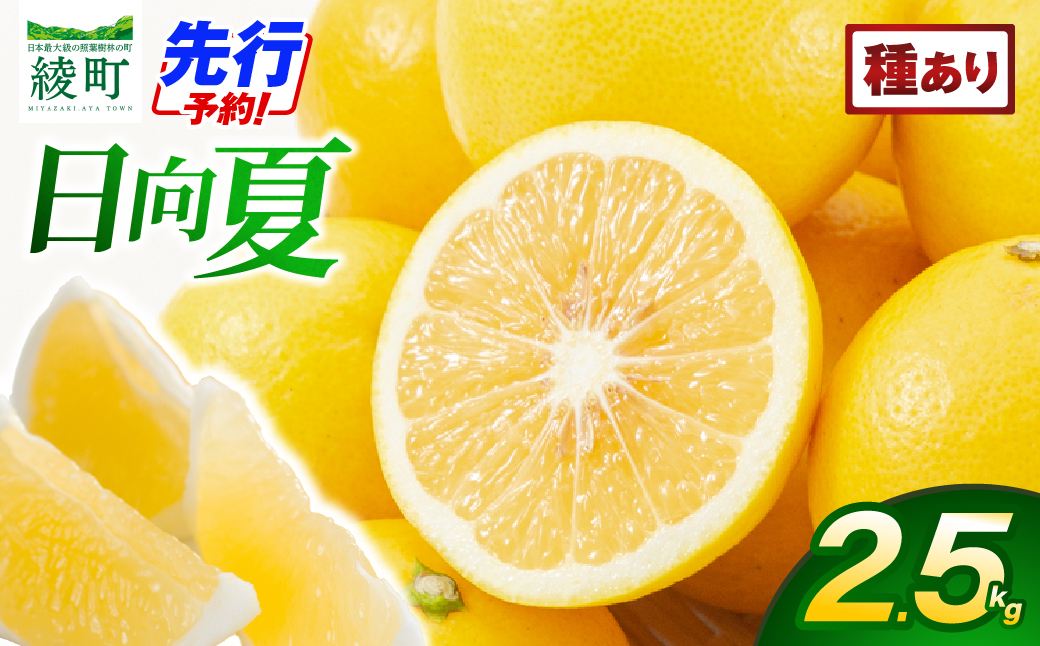 【先行受付】初春の旬「日向夏」種あり 2.5kg 果物 フルーツ くだもの 柑橘 フルーツサンド おやつ スイーツ デザート ジャム おすすめ ギフト 贈り物 贈答 プレゼント おすそ分け お返し 宮