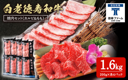 
白老牛 焼肉 霜降り カルビ＆モモ セット 合計1.6kg（各800ｇ）特製焼肉のたれ付き 和牛 牛肉 北海道 ギフト ＜徳寿＞
