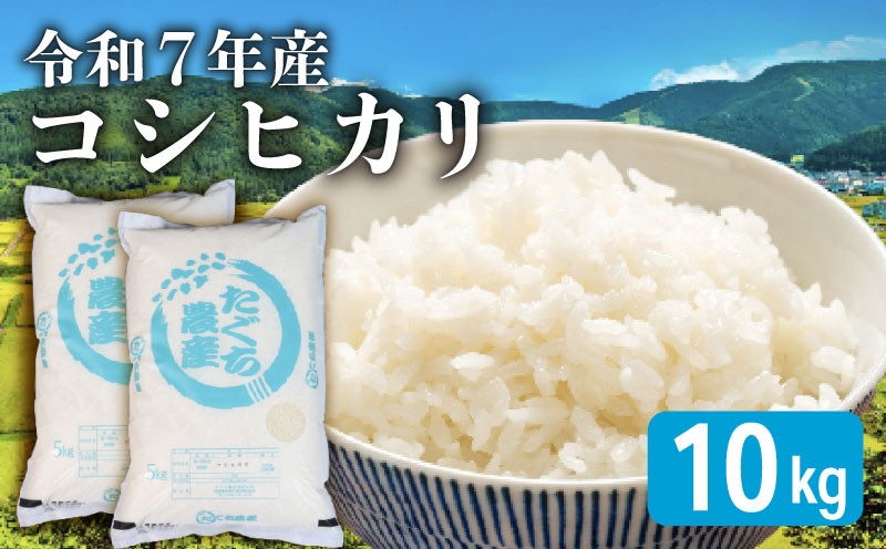 
            【先行予約 令和7年産】 新米 こしひかり 10kg 精米 米 コメ お米 白米 ご飯 コシヒカリ 5kg 2袋 令和7年 10月 順次発送 滋賀 彦根
          