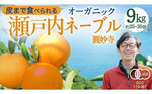 【 先行予約 】 瀬戸内 オーガニック 圓妙寺 ネーブル 9kg ( 25～35個程度 )+お試しオーガニックレモン1個 【2027年1月中旬以降発送】 みかん オレンジ 国産 有機JAS認証 有機栽培 柑橘 果物 フルーツ 広島 大崎上島
