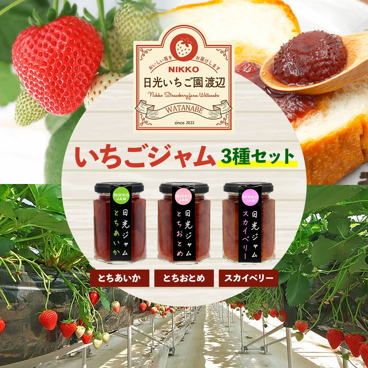 【ふるさと納税】日光産いちごジャム3種セット [とちあいか／とちおとめ／スカイベリー] 各150g ｜とちあいかジャム とちおとめジャム スカイベリージャム イチゴジャム ストロベリージャム フルーツジャム 朝食 スイーツ イチゴ 苺 フルーツ 果物 果実 完熟 日光市 [0857]