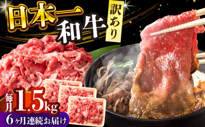 
            【全6回定期便】【訳あり】【A4～A5】長崎和牛切り落とし　1.5kg(500g×3p）【株式会社 MEAT PLUS】 [DBS063]長崎和牛 和牛 国産 牛肉  長崎和牛 切り落とし 1.5kg 500g 3パック6回定期便 定期便 6回 訳あり 訳アリ
          