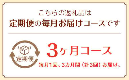 【定期便 3ヶ月コース】 野菜のプロ40年が届けるこだわり野菜セット！ 7～8品目 詰め合わせ