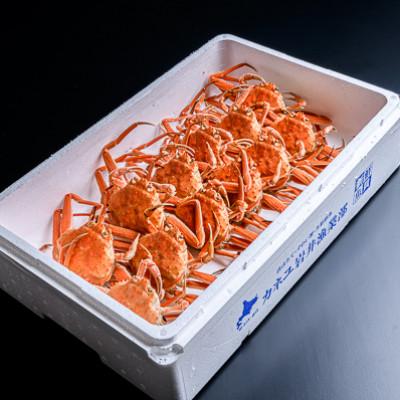 ふるさと納税 森町 ●北海道噴火湾産●【訳あり】冷凍ボイルオオズワイガニ 約2.0kg(オスメス小サイズ混合)