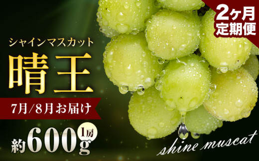 ぶどう シャインマスカット 晴王 600g 1房 2ヶ月定期便 彩美菜果《2026年7月上旬-8月末頃出荷》 マスカット 送料無料 岡山県 浅口市 フルーツ 果物 贈り物 国産 岡山県産 くだもの 果物 7月 8月発送 【配送不可地域あり】