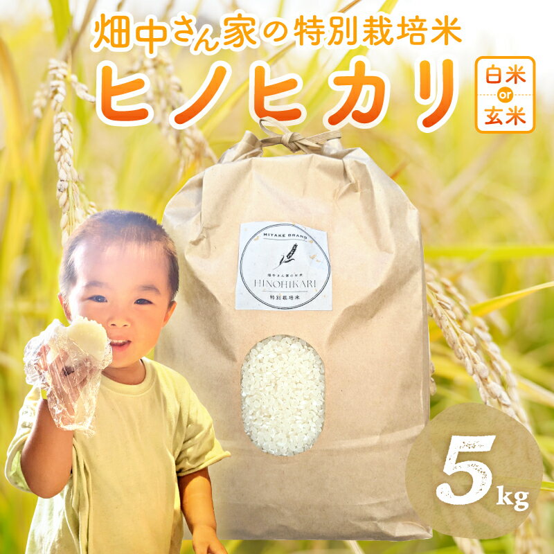 【令和4年産】畑中さんがこだわり抜いて育てた特別栽培米（減農薬米） ｢ひのひかり｣ 白米5kg