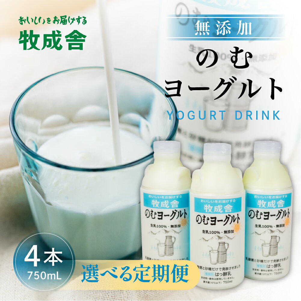 【ふるさと納税】回数選べる定期便 牧成舎 ミルクと砂糖、乳酸菌だけの飲むヨーグルト4本 定期便 12回 6回 3回 定期便 12か月 6か月 3か月 のむヨーグルト 乳製品 定期便 お楽しみ 3ヵ月 《hida0307》
