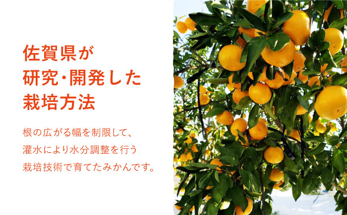 濃くて甘くて、さっぱりおいしい！