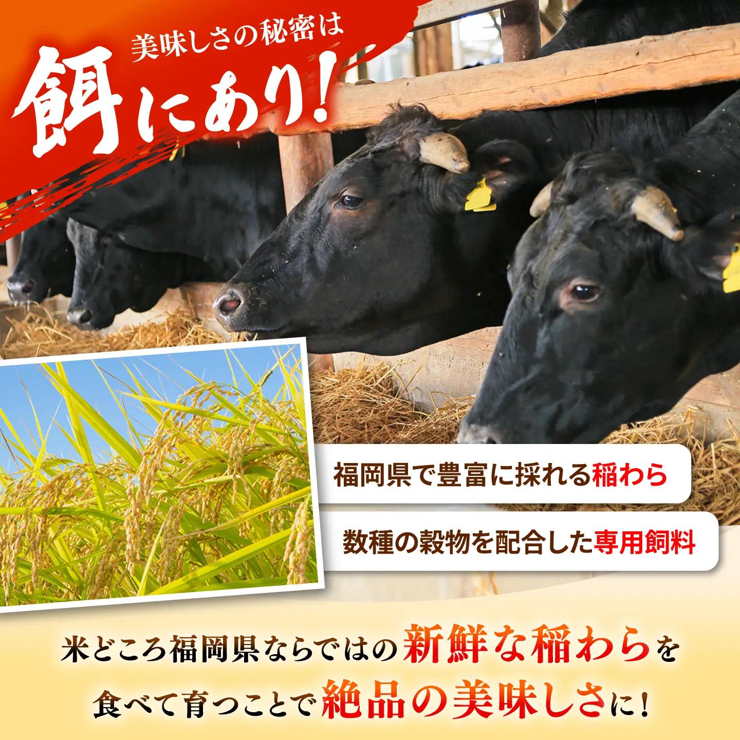 【全3回定期便】【訳あり】博多和牛 しゃぶしゃぶ すき焼き 750gセット[ADAQ048] 牛肉 定期便 