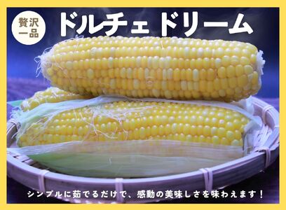 ドルチェドリーム　２Lサイズ　１２本入り　【2025年6月上旬から発送】　岩下農園[5839-2185]