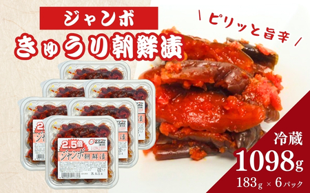 生カップジャンボ朝鮮漬きゅうり (タマゴヤの朝鮮漬) 1098g(183g×6パック)  | 南相馬市 キムチ 香の蔵