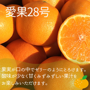 【2026年12月上旬頃から順次発送】【定期便 全3回】旬の愛媛三大高級柑橘 家庭用 【愛果28号 せとか 甘平】約2.5kg | 柑橘 みかん 果物 あいか 紅まどんな と同品種 くだもの フルーツ