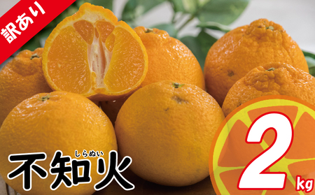 【でこぽんと同品種】 訳あり 不知火 約2kg  デコポン 2026年3月中旬頃より発送予定【VEG0231】