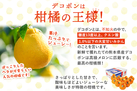 くまもとのデコポンゼリー 12個入《60日以内に順次出荷(土日祝除く)》熊本県 葦北郡 津奈木町 あしきた農業協同組合 JAあしきた 柑橘 デコポン フルーツ 果物 ゼリー ギフト 包装 送料無料