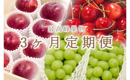 ＜2026年発送先行予約＞南アルプス市自慢の大人気3種セット“大粒さくらんぼ” “大玉貴陽” “大粒シャインマスカット” 3ヶ月定期便 ALPAL002