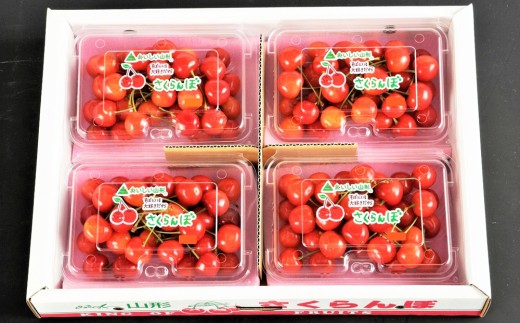 さくらんぼ（佐藤錦か紅秀峰）７２０ｇ（１８０ｇ×４パック）　フードパック入り　0020-2607