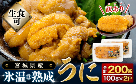 生うに ウニ 訳あり 冷凍 氷温(R)熟成 200g（100g×2）宮城県産 うに 生ウニ 生雲丹  新鮮うに キタムラサキウニ ウニ丼 雲丹 海鮮 規格外 不揃い〈期間限定/数量限定〉