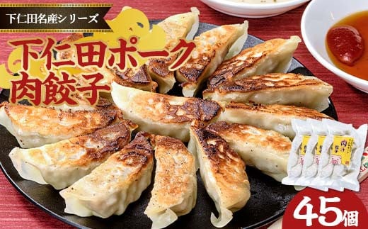 下仁田名産シリーズ「下仁田ポーク肉餃子」 餃子 ぎょうざおかず おつまみ 惣菜 F21K-487