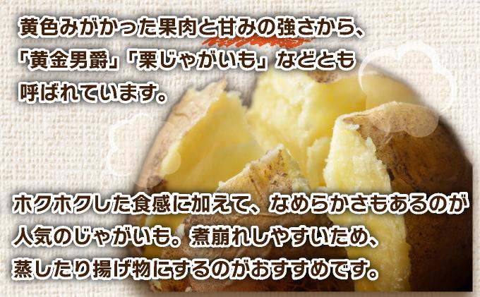＜先行予約＞北海道産 じゃがいも(北あかり) 約5kg【55250842】ジャガイモ 馬鈴薯 ポテト 芋 イモ きたあかり キタアカリ 野菜 人気 ふじいファーム 5kg
