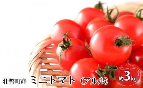 ＜2024年7月上旬よりお届け＞北海道壮瞥町産ミニトマト（アルル）約3kg