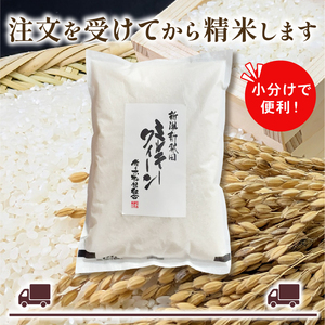 【定期便】先行予約 令和7年産 ミルキークイーン 6kg 12ヶ月 白米 玄米 新潟県 新発田市産 《2025年11月発送》 D47_002_202511