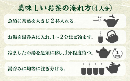 八女茶 煎茶5袋セット 合計500g  (100g×5袋) お茶 おちゃ セット 詰め合わせ ティー 日本茶 飲料 飲み物 パック 広川町 / 有限会社原野製茶本舗[AFBE002]