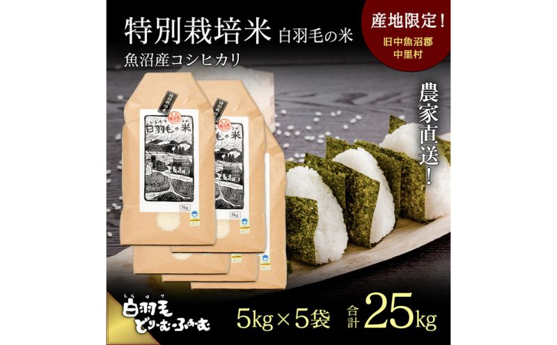 
            【通年受付】≪令和7年産≫ 農家直送！魚沼産コシヒカリ特別栽培「白羽毛の米」精米 (5kg×5袋) 25kg お米 白米 
          